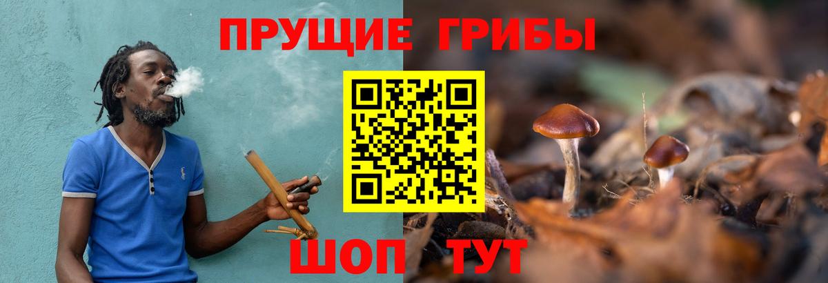 Псилоцибиновые грибы Magic Shrooms  закладки  Вход с VPN  Дивногорск  Псилоцибиновые грибы Magic Shrooms 